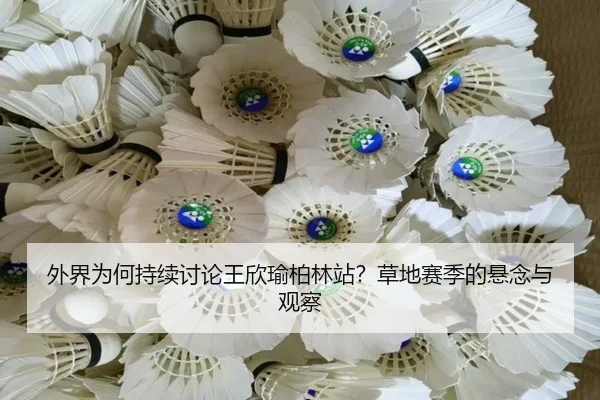 wai-jie-wei-he-chi-xu-tao-lun-wang-xin-yu-bo-lin-zhan-cao-di-sai-ji-de-xuan-nian-yu-guan-cha-2-625.jpg
